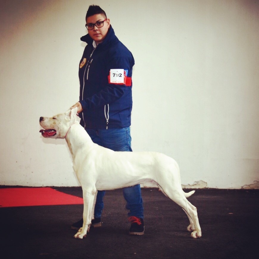 Narco terror Des Pur sang D'aphrodite